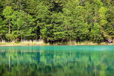 帯広/十勝ぐるり旅【1】~湖面の色が変化する神秘の湖~オンネトー湖
