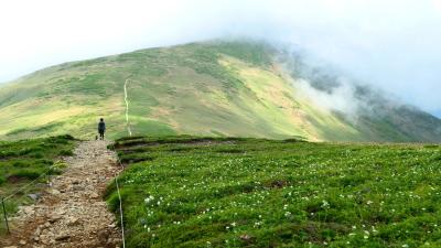 「やっぱり自然は素晴らしい！」　嫋やかな山容と稜線　～平標山～