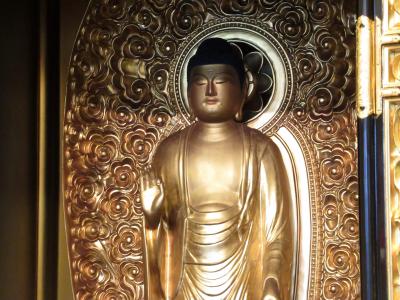 目で見る所沢・狭山・入間の100年 /郷土出版社/大館右喜（大型