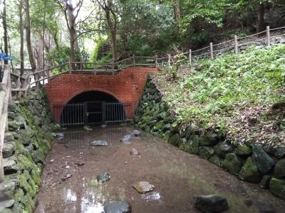 柿田川公園と楽寿園