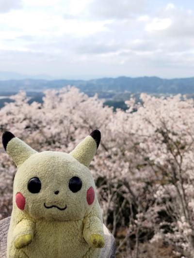 吉野と京都の桜を見に行ったが桜が終わっていた(1日目)