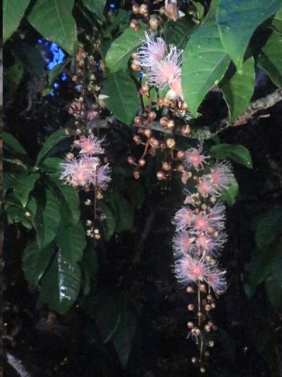 沖縄のんびり旅 2日目 2-2