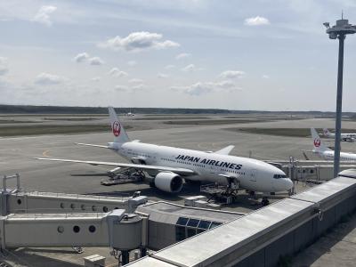 JAL B777-200ERで行く札幌☆モエレ沼公園のガラスのピラミッド・円山公園のリス