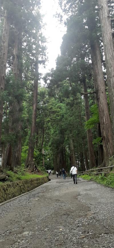 修学旅行の思いで