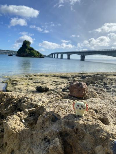 ●シーサーと一緒に沖縄本島一人旅(2) 2日目●