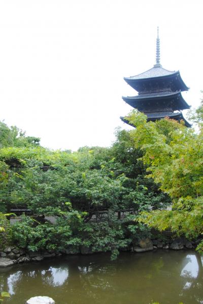 夏の暑い京都へ。その２　今回は東寺から。。。。