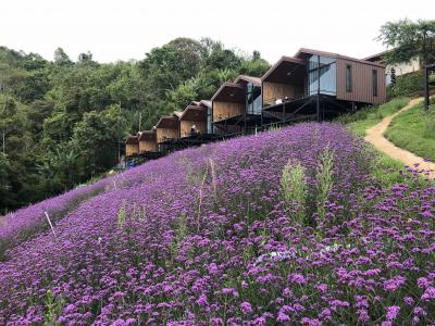 タイ専科 78    モンチェム 再訪②   メーリム        － チムチョムの   炎の熱さ   心地よし ー