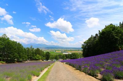 夏だ！1人だ！旅行だ～！(北海道編)