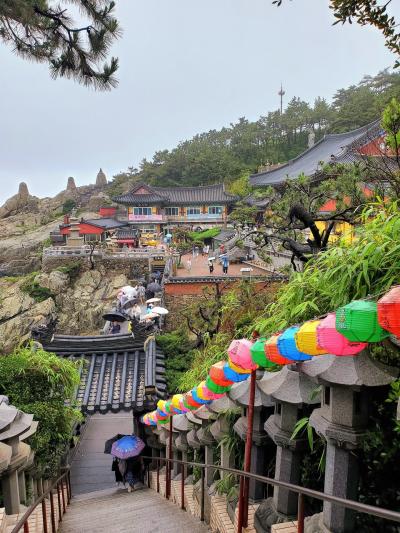 初めての韓国は、海辺の釜山♪︎チャガルチ市場と海東龍宮寺！