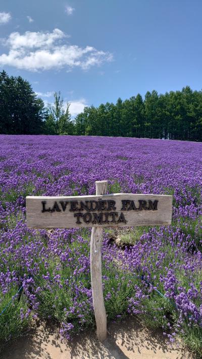 寿司・ウニ丼・メロンの北海道旅行2泊3日②