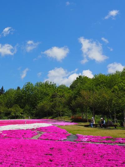 2023　新潟「春本番」の旅＜五泉市・新潟市・燕市・長岡市・三条市・燕市・見附市・魚沼市＞