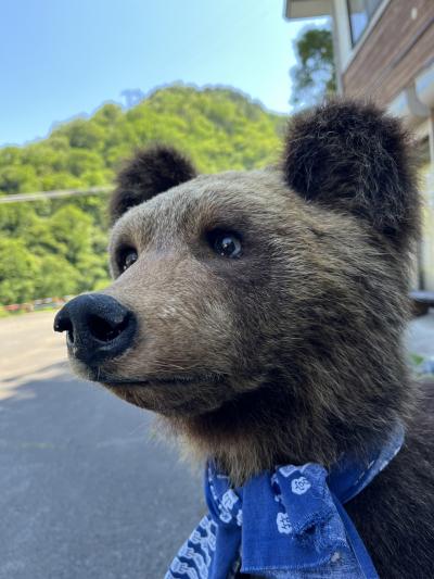 初夏の山　抜けるような青空の下谷川岳で。