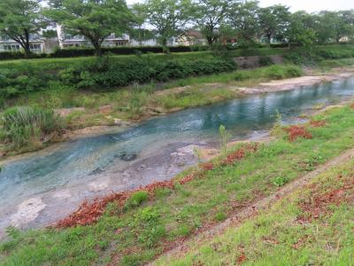 城山川を目指しポタリング 八王子 2023/06/07