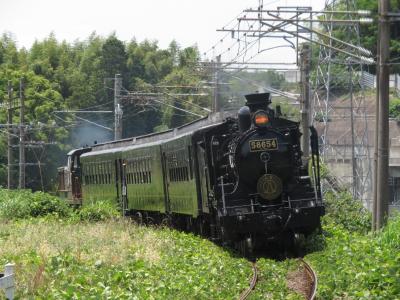 2023茶色い弁当を買いに行ったらキハや貨物列車や蒸気機関車にたまたま遭遇した件について。