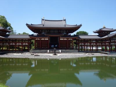 ひさしぶりの平等院。鳳凰堂がきれいになっていました。