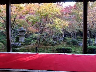 紅葉の京都旅行（１／２）