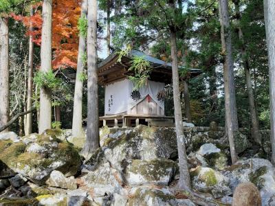 紅葉の京都旅行(2/2)