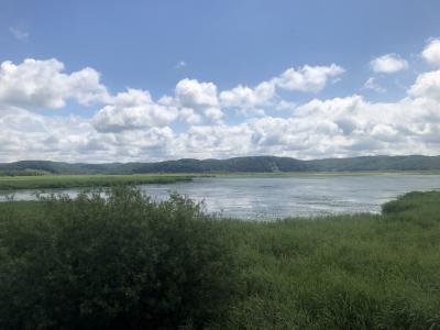 北海道に梅雨がナイなんてウソだっ！①　雨が毎日降ってた道東