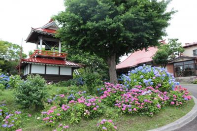 らいでんメロンと紫陽花を求めて共和町までドライブ