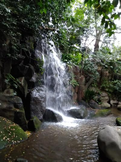 江戸時代に行楽地として江戸庶民に親しまれていた王子駅周辺を街歩き！