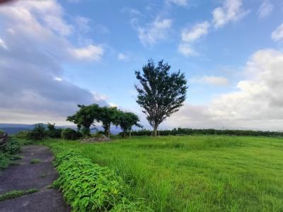 2023年7月長崎、大村、波佐見への旅