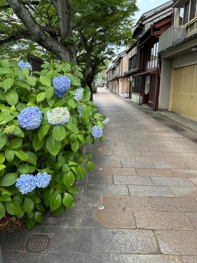 JALスマイルキャンペーンで金沢と白山へ 2泊3日　3日目　金沢散策