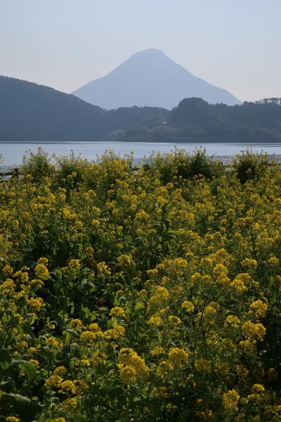 2023指宿の旅