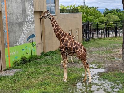 2023 07 札幌から、旭川へ