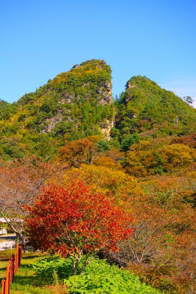 【あの時私は若かった　２泊３日　秋の新潟　ノスタル爺なひとり旅】越後と佐渡の船の旅の巻　３日目