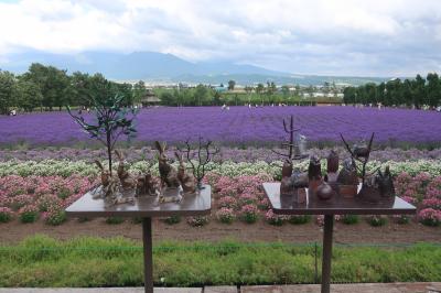 夏の恒例旅行として、今年も北の大地を満喫する事が出来ました！⑤富良野編