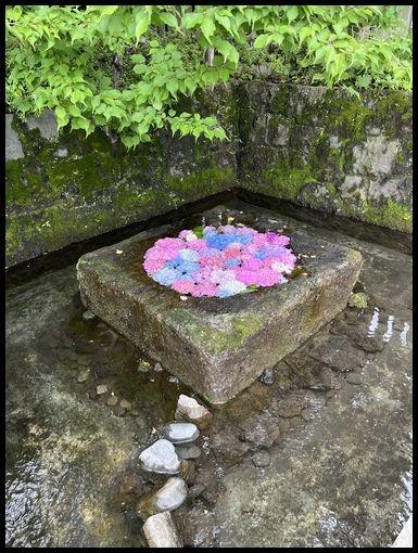 伊豆の国、大仁温泉とご当地レストランへ。