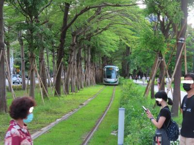 高雄ライトレールに沿って台鉄跡に出来たサイクリングロード:自行車道(鳳山緑園道・高雄鉄路緑園道)をポタリング 2023/06/23