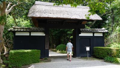 夏の偕楽園を楽しむ