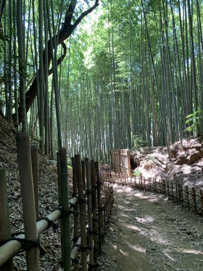 2023年7月 成田山詣とお城巡り日帰りドライブ