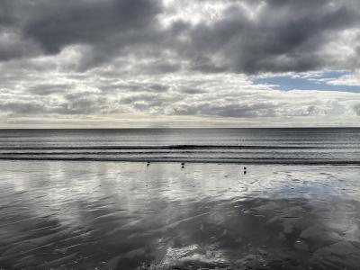 ニュージーランド北島旅行3【ワイヘキ島→帰国、お土産編】