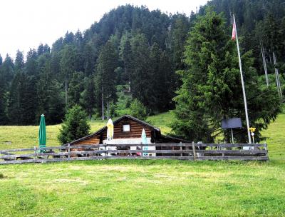 2023夏　スイス旅行　乗って野ぼってハイキンぐ～♪②【ハイジに会いたくてベルニナ急行でマイエンフェルト編】