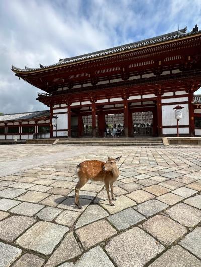 奈良～伊勢～京都　3泊4日グルメの旅