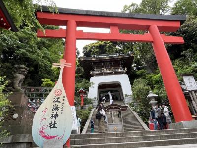 1日でどれだけ歩けるか⁈江ノ島～鎌倉