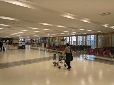 2023年3回目のソウル　ガラガラの金浦空港