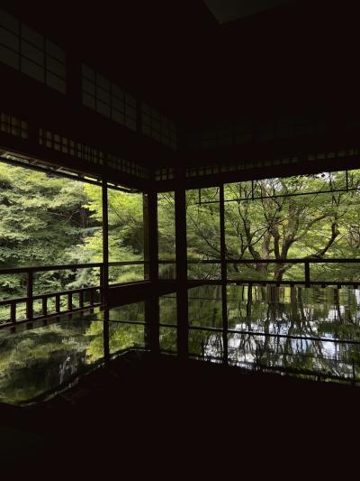 【2023/7/23 京都】酷暑の京都へ、瑠璃光院の青紅葉見物