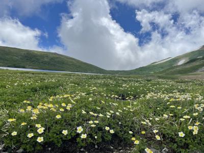 奥多摩探検隊、北アルプス最北端の旅！2日目《”朝日岳のご来光と白馬岳リベンジ！”編》