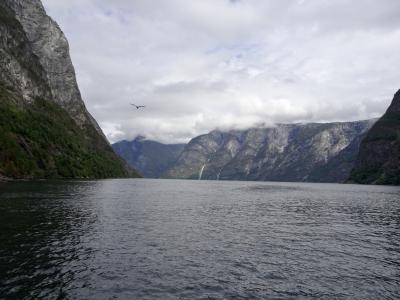 夏色に輝く景色を体感する旅 フィヨルドと北欧紀行2フィヨルドクルーズ~山岳鉄道を乗り継ぎヴォスへ