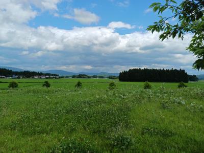 ３連休はFDAで花巻・釜石・遠野へ　自然のなかで涼みました