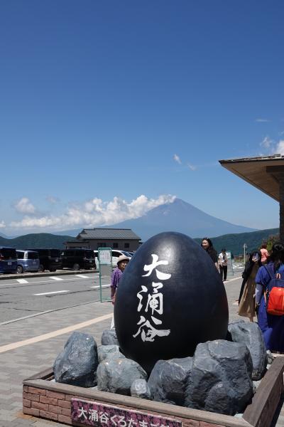 箱根横断 散歩を兼ねて