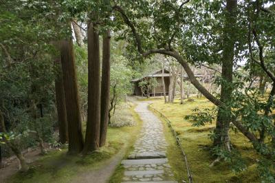 春のいざいざ奈良旅♪　Vol.427　優雅な奈良散歩：美しい依水園♪