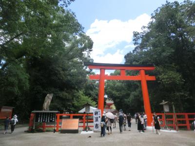 下鴨神社足つけ神事と祇園祭後祭の宵々山と府立植物園の旅