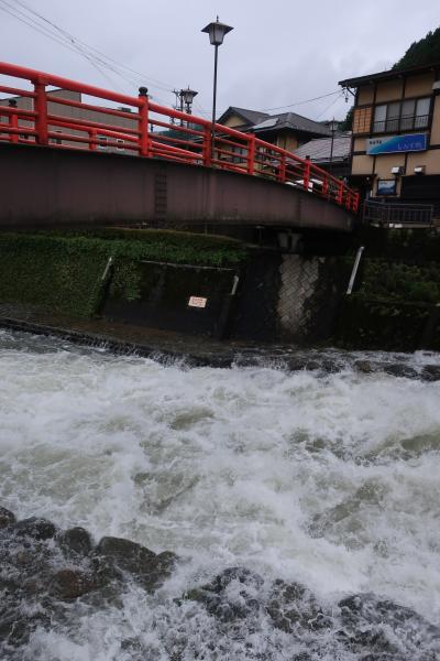 【岐阜・愛知旅行2泊3日　その２】雨の郡上八幡