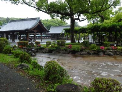 博多ぶらぶら旅 ～世界遺産・宗像大社へ