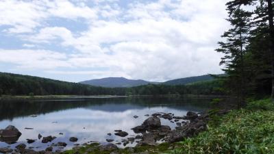 猛暑を避け夏山へ！北八ヶ岳で涼をとる