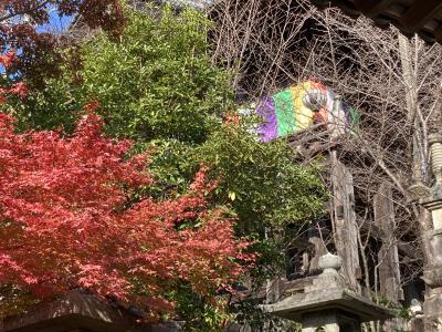 秋の奈良飛鳥　長谷寺、岡寺